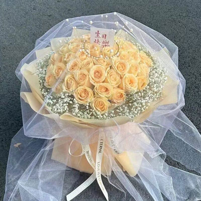 新余52朵香槟玫瑰满天星，你就是我的全部